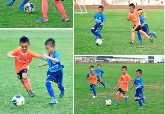 福州专业乒乓球培训，成就冠军梦想